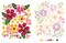 ColorMaps Flowers: Color-Coded Patterns Adult Coloring Book